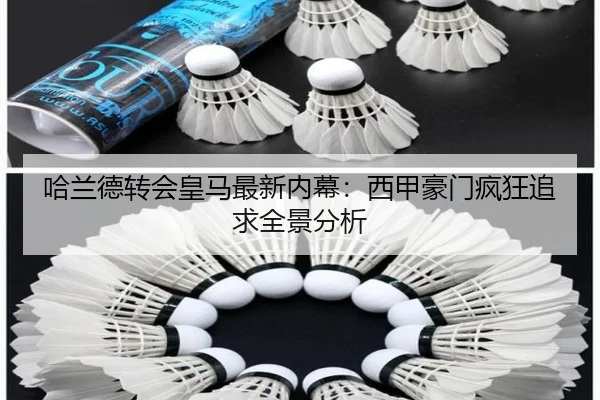 哈兰德转会皇马最新内幕：西甲豪门疯狂追求全景分析
